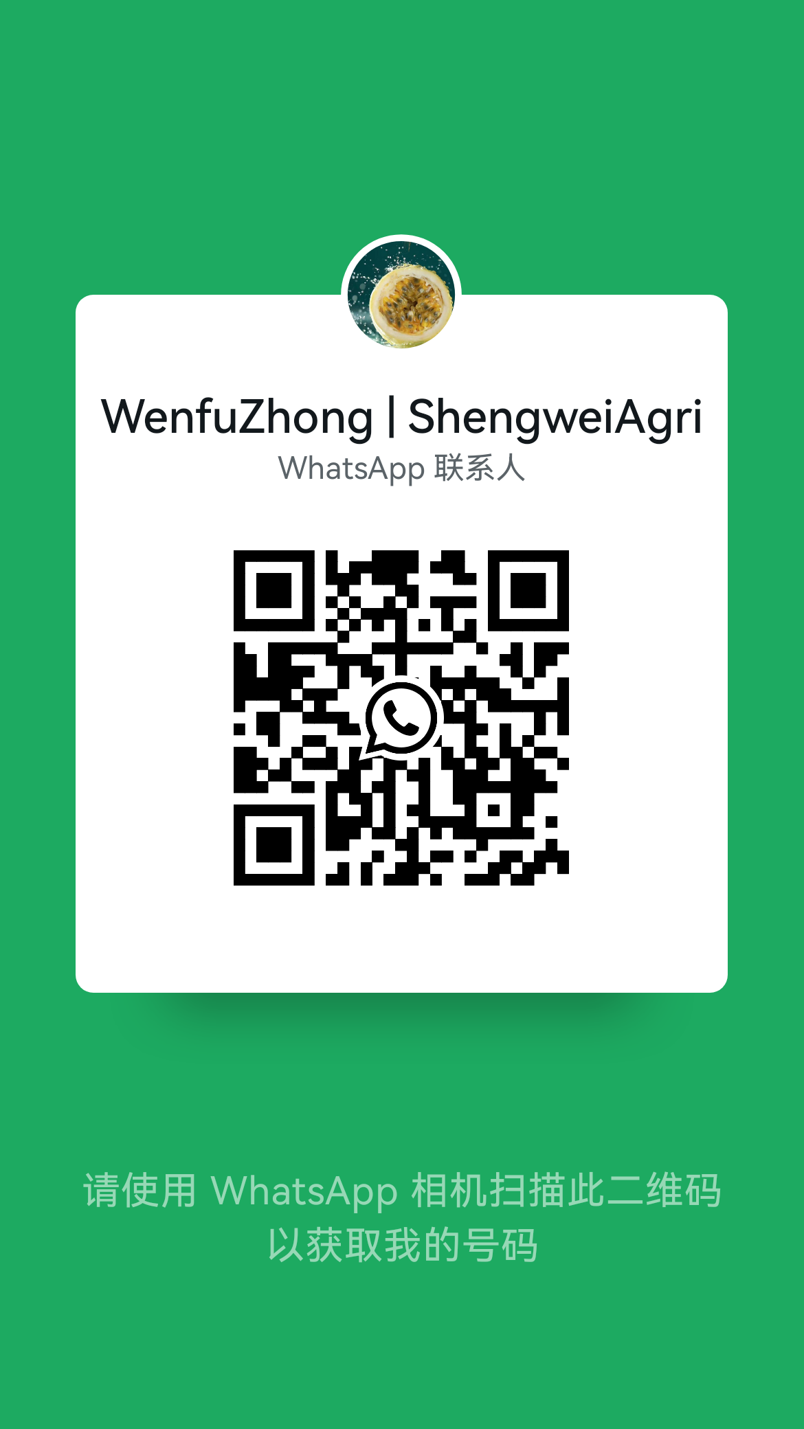 WhatsApp QR